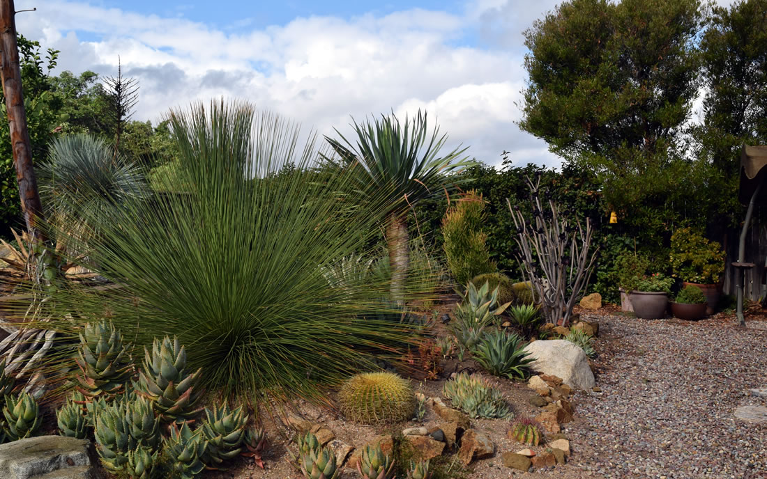 xeriscape-drought-resistant-landscaping-gallery-of-landscape-architect