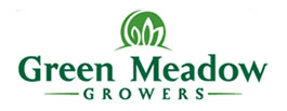 Green Meadow Growers is a wholesale grower producing ornamental grasses, perennials, and succulents