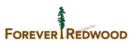 Forever Redwood 
